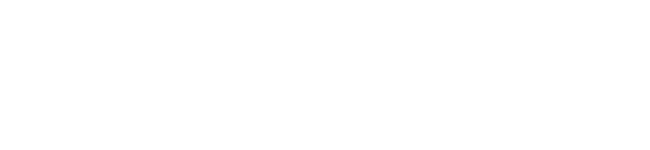 SWD Consulting – Legal & IT consulting