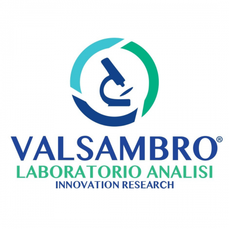 logo-valsambro